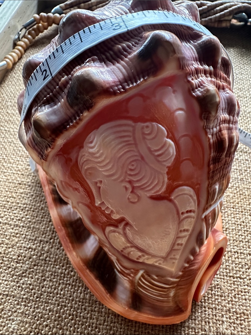 Carved Shell Cameo Made in Italy - Peachy Coral and Cream